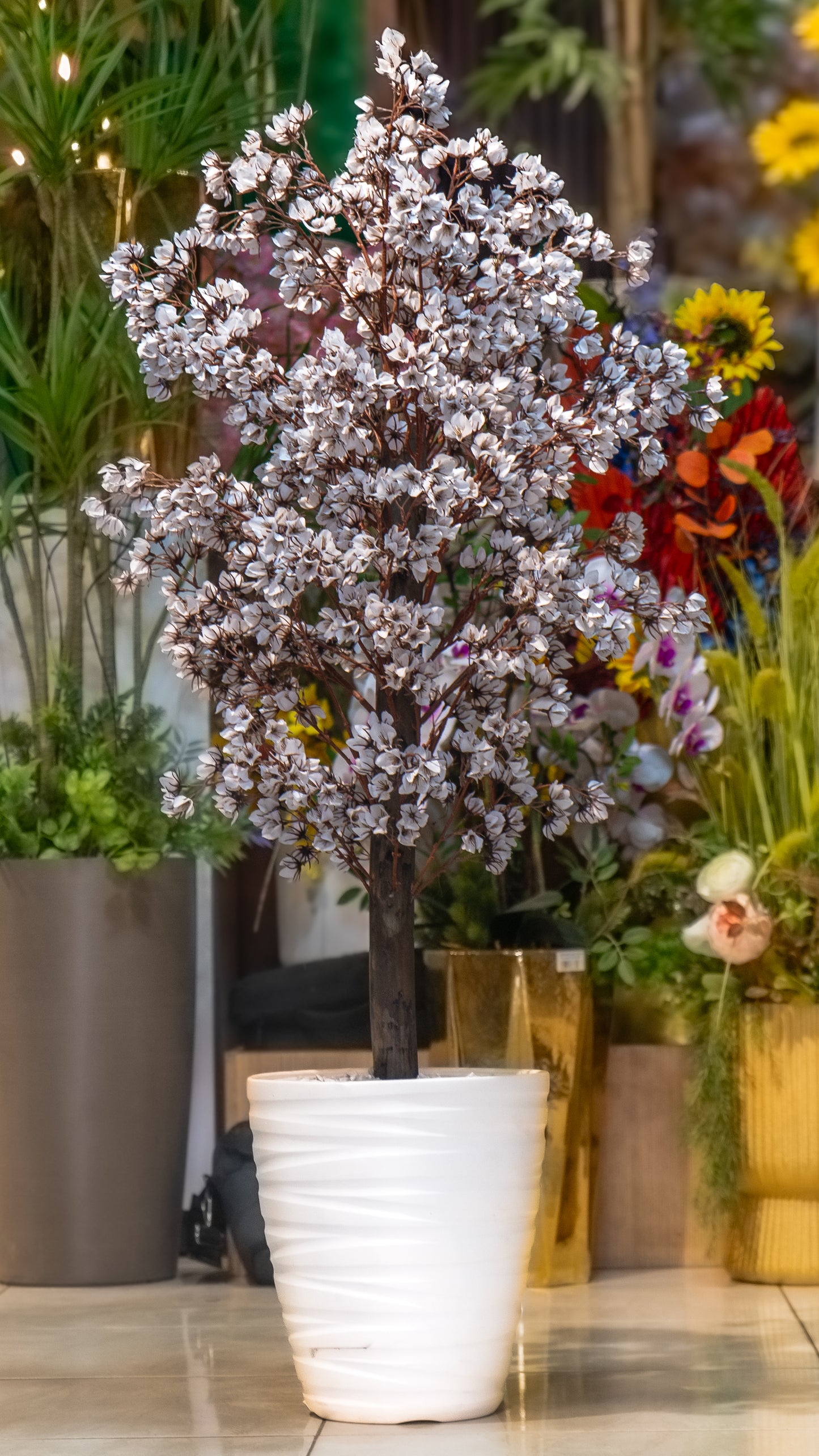 Orchidée Éternelle