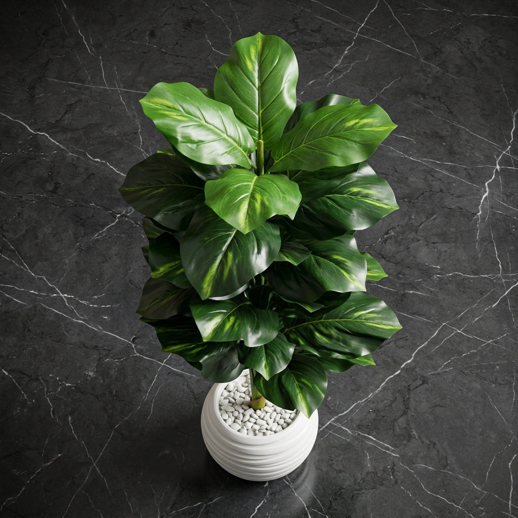 Glycine Artificielle Premium