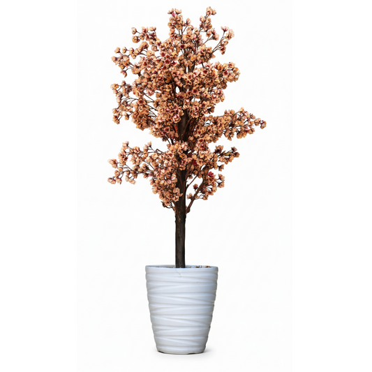 Orchidée Éternelle