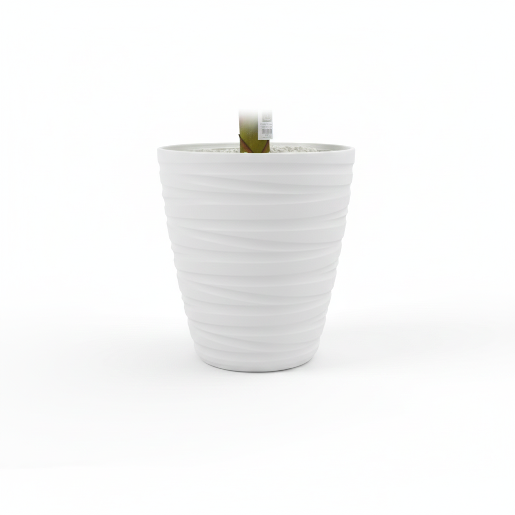 Le Strelitzia Artificialis