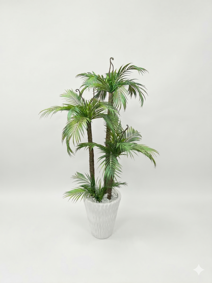 Palmier Areca