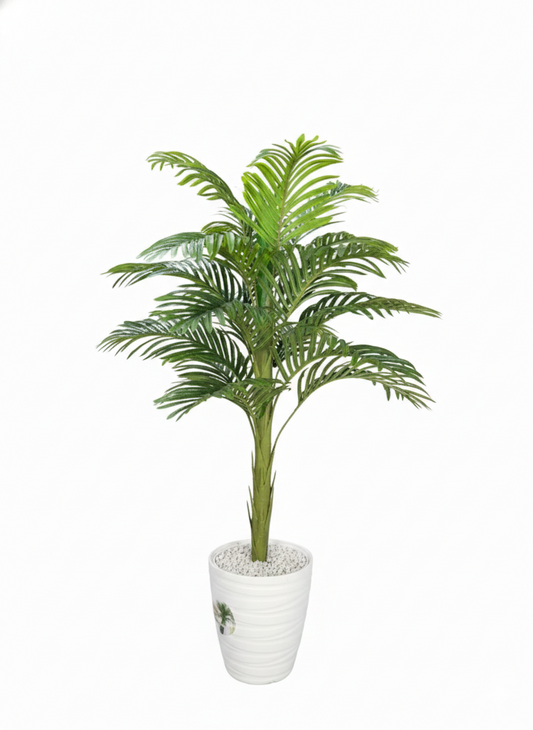 Le Palmier Royal "Aura"