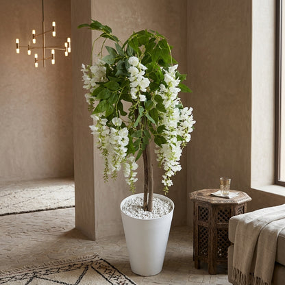 Glycine Blanche Artificielle Premium