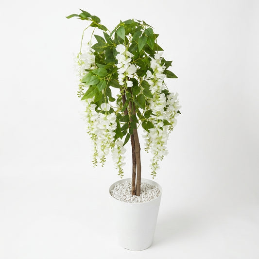 Glycine Blanche Artificielle Premium