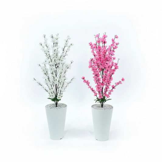 Duo Cerisiers du Japon : L'Élégance Zen